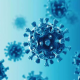 Alaska Pox Virus: Know all information About Alaska Pox